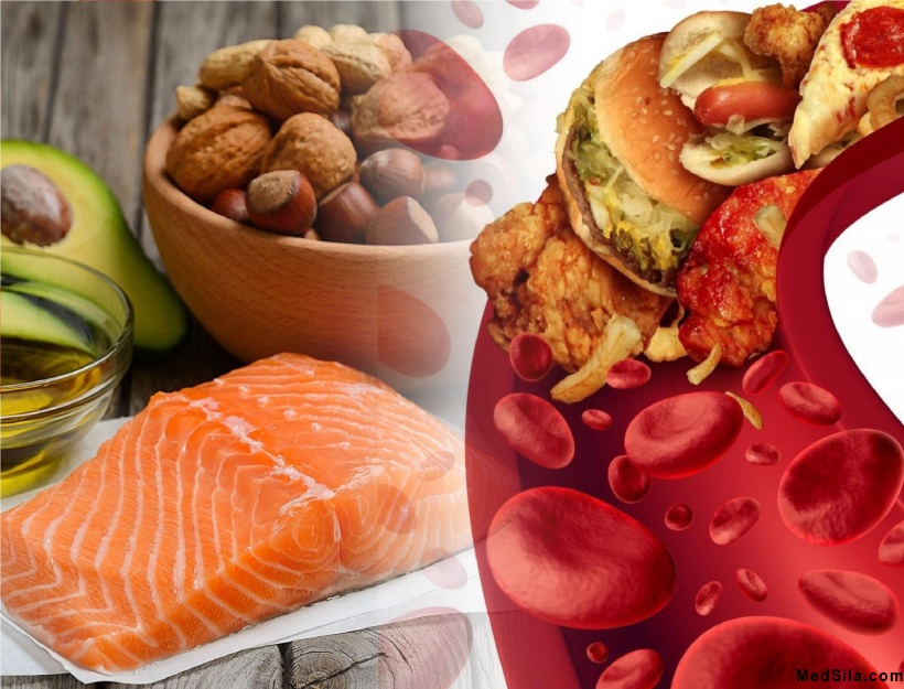 Связь между пищей и уровнем холестерина